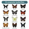 Obiekty dekoracyjne figurki 12PCS Taxidermy Butterfly niezamontowany próbek motyla Kolekcja prawdziwych motyli 230815