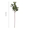 Decoratieve bloemen Gedroogde buxus Takken Bladeren Decoratie voor bruiloft Holiday Oval Lyptus Artificial Euca Home Decor Silk