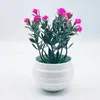 Dekoratif çiçekler 11x9cm yapay potu etli gladiolus çembela çiçek bitkileri bonsai sahte ağaç ofis masası saksı ev dekor