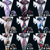 Alla typer av män slips 47 Styles Neck Tie Set för män av hög kvalitet vuxna band märke slips hanky manschettknappar set 335v