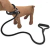 Dog Collars Pet Leash Nylon Puppy Slip Lead Rope Chain Collar Adjustable Training For