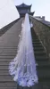 Bridal Veils Real Po One Layer Wedding Veil With Steel Comb 3 Meters Long Wide Lace Edge Cathedral MM