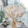 Decorative Flowers Natural Pampas Grass Bouquet Long-Lasting Dried For Boho Home Decor Wedding Flores Secas Boda Decorativas