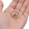 Cluster Rings Silver Color Ring Wedding Party Pentagram Jewelry Gift For Lover Women