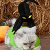 Hondenkleding Halloween Pet-kostuums Kleine en middelgrote zwarte kat grappige verandering in een vakantie-kledingkleding