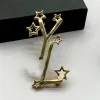 Pinni per spille da design per spille d'oro da donna Mens Silver Pin Golden S Broche Delicate Broches Star Star BreadPin Suit Gioielli Gift Gioielli 238165D