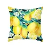 Caisse d'oreiller nordics caisses de maison de mode fournit petit canapé à imprimé de fruits frais et couverture de couverture de coussin en velours de peau de pêche HKD230817