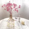 Decorative Flowers 10g 10-15cm Mini Natural Gypsophila Dried Pampas Grass Dry Home Pography Po Backdrop Decor