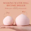 Sponges Applicators Cotton 30pc Soft Darling Peach Blender Steamed Bread Beauty Makeup Egg Powder Puff Make Up Sponge Tools Gifts No p230816