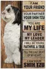 Retro köpek Pet Meatl işareti Border Collie Beagle Golden Retriever komik resim çubuğu Pet Doghome Aksesuarlar Posterler Bahçe Dekorasyonu Özel Teneke Plaka 30x20cm W01