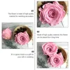 Flores decorativas 12pcs/caixa de namorados presente imortal rosa criativa