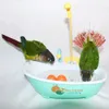 Other Pet Supplies Parrots Automatic Bath Tub Bird Bathing Box Shower Bowl Bathroom Swimming Pool Toy Auxiliary Drop 230816