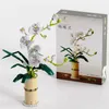 Blocs Bouquet de bouquet orchidée blanc