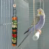 Other Bird Supplies Hanging Feeder Multipurpose Outside Toy Backyard Waterproof Basket Porch Walkway Cage For Millet Fruit Vegetable Budgie