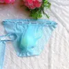 Cuecas transparentes renda de renda gay homem sexy roupas íntimas veja calcinha throgh calcinha bulge bulge lingerie erótica pura