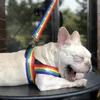 Stile arcobaleno imbracature per cani guinzaglio Set di cani da compagnia durevoli nobili esterni da esterno