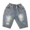 Shorts 3-8T Boys Trendy Summer Wear 2023 Koreanische Version Kinder sechs Punkte zerrissene Jeans