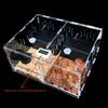 Reptile Supplies Terrarium Habitat Breeding Box Acrylic Transparent Reptiles Cage Arboreal Tarantula Enclre Bearded Dragon Lizard 230816