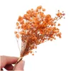 Vegetación floral falsa Pequeño flores secas naturales Ramos de ramo seco de ramo seco en el hogar de la prensa preservada Decoración de la boda Drop entrega Dhpdi