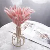 Decorative Flowers 10g 10-15cm Mini Natural Gypsophila Dried Pampas Grass Dry Home Pography Po Backdrop Decor