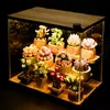 Блоки сочные цветочные строительные блоки растений, установленные для дома или офиса, совместимых с набором для здания цветов, подарок R230817