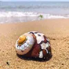 Dekorative Objekte Figuren 7-9 cm natürliche südafrikanische Schnecke Pearly Screw Conch Shells Koralle Sammlerstücke mediterrane Aquarium-Ornamente Seegelung 230816