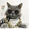 أطواق الكلاب PET CAT GOLD CATLACE CILLAR P Chain stail Dress Up Decoration Gift for Dogs Fighting Association Jewelry PO Props