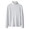 Herrtröjor Spring och Autumn Sweater Män stickade botten Skjorta Turtleneck Trend Warm Sports Handsome 9791
