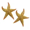 Figurine di oggetti decorativi 10-16 cm Ornamenti di stelle di stella secca naturali Sea Star Beach Shells Craft Wedding Party Home Props Decoration Accessori 230816