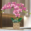 Blocchi Building Block Flower Orchid Series Bonsai Girl Build Flowers Toy Flower Disposizione floreale Assemblaggio giocattoli per regali R230817