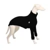 Dog Apparel Cotton Italian Greyhound Clothes Whipple Clothes Dog Big Dog Clothes High Collar Dog Clothes 230816