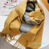 Luxury Buff Cashmere Shawly Mujeres Long Winter Wram Pashmina envuelve hijab con Tassel Bufanda Foulard 2023