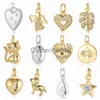 Pendant Necklaces 3pcs/Lot Angel Heart Copper Cubic Zircon Charms Cat Dog Evil Eye Star Monstera Leaf Bracelet EarrNecklace Pendant J230817