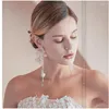 Haarclips Accessoires für Frauen Hochzeit Pearl Brautparty Combs Kopfschmuck Luxus Elegant Braut Schmuck Set Ohrringe