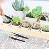 Andere tuingereedschap Succulente planten Gereedschap Set voor binnenplant Home Kit Zwarte potten Cactus Huisplant Teelt Gardenkits 230816