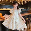 Платья для девочек девочки новое шифоновое с коротким рукавом модное детское фрагментированное цветочное платье супер бессмертное платье принцессы лето R230816