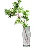 Vasen Einfache Retro mittlere Glasvase Hydroponische Blume Arrangeur Hauseinrichtung Desktop Dekoration Requisiten