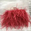 Evening Bags Red Feather Bag Womens Chain Shoulder Small Luxury Brand Party Dinner Clutch Purse Designer Handbag FTB311 230817