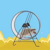 Small Animal Supplies Metal Silent Running Wheel 25cm32cm Hamster Hedgehog Squirrel och andra husdjurshjul kan användas i burar 230816