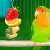 Other Bird Supplies Fruit Skewer Stainless Steel Feeder Small Animal Vegetable Holder Food For Parrots Cockatoo