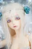 Dolls BJD Doll 14 Cygne Fashion Joint Birthday Present230816