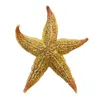 Figurine di oggetti decorativi 10-16 cm Ornamenti di stelle di stella secca naturali Sea Star Beach Shells Craft Wedding Party Home Props Decoration Accessori 230816