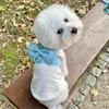 Dog Collars Harness Pet Leash Set Big Bow Chest Cat Traction Fashion Princess Style And