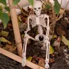 Autres fournitures de fête d'événement 36cm Les os humains réalisants Halloween Skull Squelette Décoration Modèle anatomique 230816