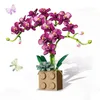 Blokkeert DIY Bouwsteen Phalaenopsis Bouquet Potted Creative Immortal Flower Model Decor Children's Building Toy Girl Holiday Gift R230817