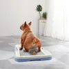 Penne di cani Penne addestramento per cani portatili igienica tappetini per pazzesco per cuccioli da camino per cani gatti facili da pulire il prodotto interno 230816