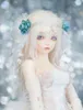 Dolls BJD Doll 14 Cygne Fashion Joint Birthday Present230816