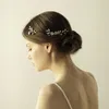 Saç klipsleri o844 Zarif Düğün Gelin Tomberi Kaçak Kristal Alaşım Daisy Çiçekler El Yapımı Kadınlar Pageant Headpiece