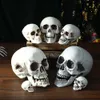 Altre forniture per feste di eventi Scheletro artificiale Scheletro di Scheletro Halloween Decorazione Scary Horror Props Hanging Skull Modello di alta qualità Modello SCULTTURA SCULLA TESTA 230816