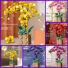 Blokkeert DIY Bouwsteen Phalaenopsis Bouquet Potted Creative Immortal Flower Model Decor Children's Building Toy Girl Holiday Gift R230817